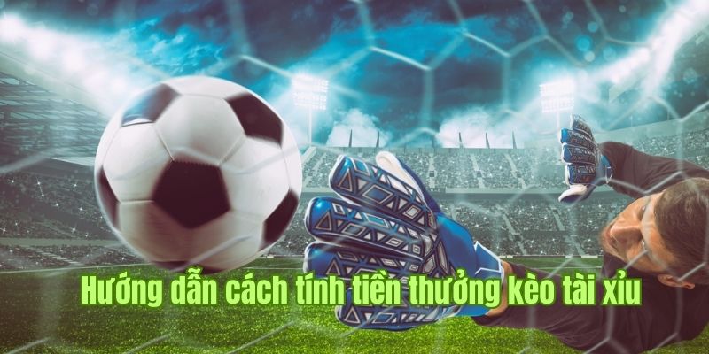 Hiểu đơn giản kèo tài xỉu trong bảng kèo nhà cái